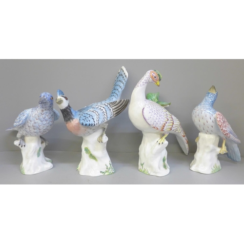 699 - Four assorted Crown Staffordshire birds by Doubell Miller