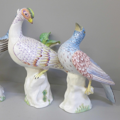 699 - Four assorted Crown Staffordshire birds by Doubell Miller