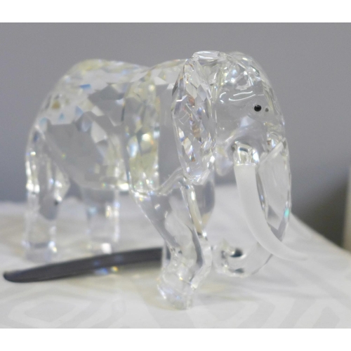 721 - A Swarovski elephant, stag and seals, boxed