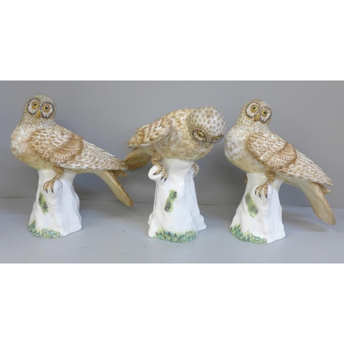 825 - Three Crown Staffordshire owls by Doubell Miller