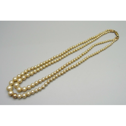 959 - 14ct gold mounted pearls