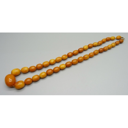 962 - A butterscotch amber necklace, 21.8g