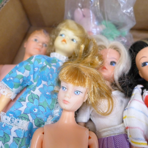 655 - A collection of Sindy dolls and accessories