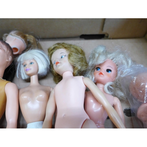 655 - A collection of Sindy dolls and accessories