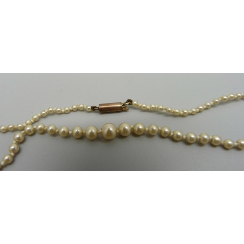 907 - A seed pearl necklace with a 9ct gold fastener