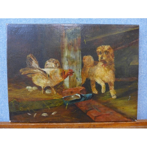 282 - English School, study of a dog and chicken, oil on canvas, unsigned, unframed