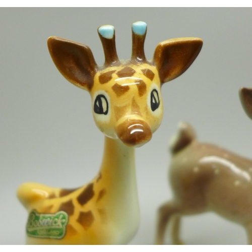 626 - A Beswick deer and giraffe