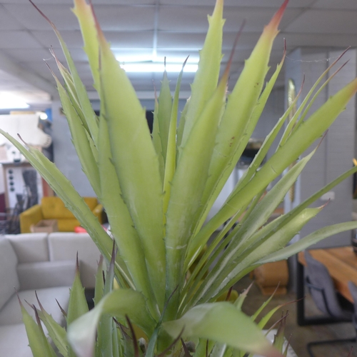 1473 - An artificial yucca plant