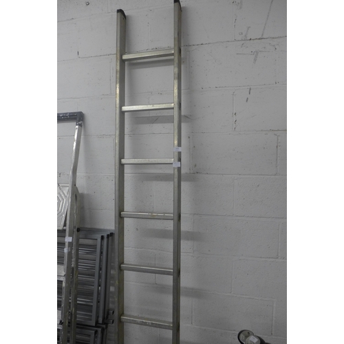 2406 - A single 9-rung ladder