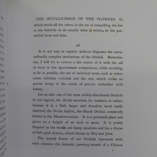 652 - Hours of Gladness, by E.J. Detmold, published by George Allen & Co. Ltd., 1912, with twenty colour i... 