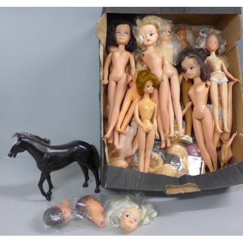 762 - A box of Sindy and other bodies, heads, wigs and spare parts, some complete