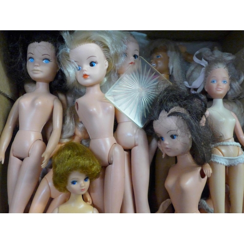 762 - A box of Sindy and other bodies, heads, wigs and spare parts, some complete