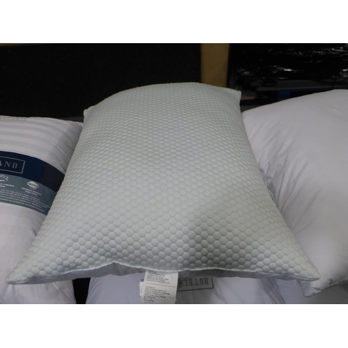 3230 - Two Hotel Grand All Seasons Reversible Rolled Pillows (300-164) *This lot is subject to VAT