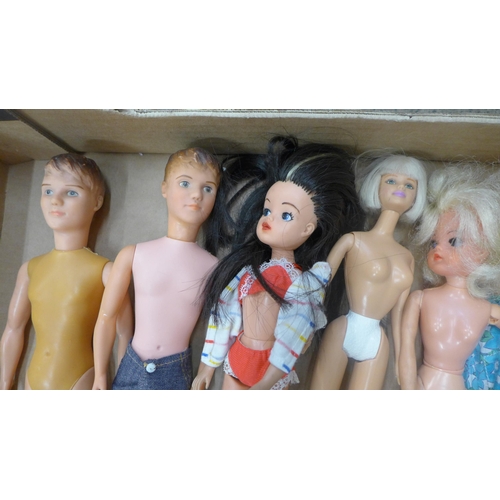 694 - A collection of dolls including Sindy and some accessories