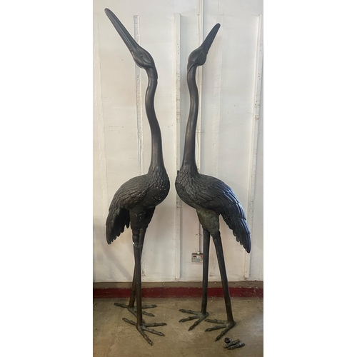 218 - A pair of extremely large oriental bronze figures of cranes, approx. 255cms h