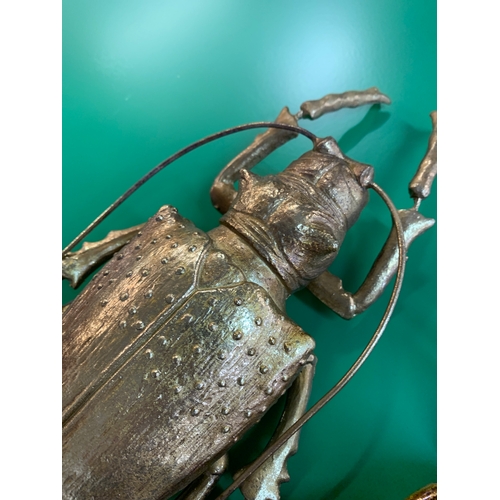 1434 - A set of two gold painted beetle wall hanging/table ornaments