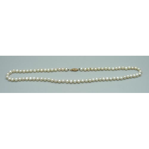 1007 - A string of cultured pearls with 14ct gold clasp