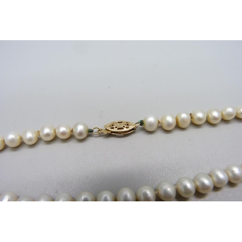 1007 - A string of cultured pearls with 14ct gold clasp