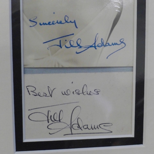 607 - A selection of Barbara Windsor, Patsy Rowlands and Jill Adams autographed Carry On displays