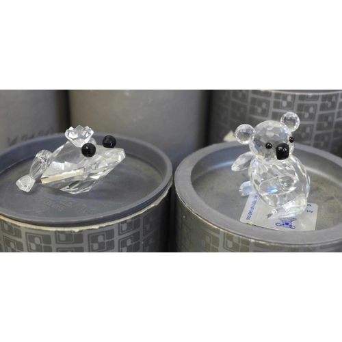 697 - A collection of Swarovski crystal animals, includes cat, pig, owl, swan, mouse, parrot and kingfishe... 