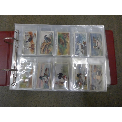 736 - Cigarette cards:- album of cigarette and trade cards of birds, 10 sets including Players, 'Aviary an... 