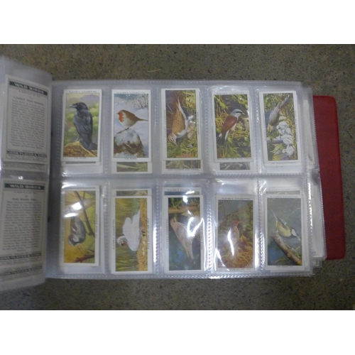 736 - Cigarette cards:- album of cigarette and trade cards of birds, 10 sets including Players, 'Aviary an... 