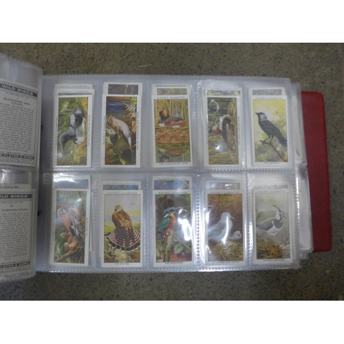 736 - Cigarette cards:- album of cigarette and trade cards of birds, 10 sets including Players, 'Aviary an... 