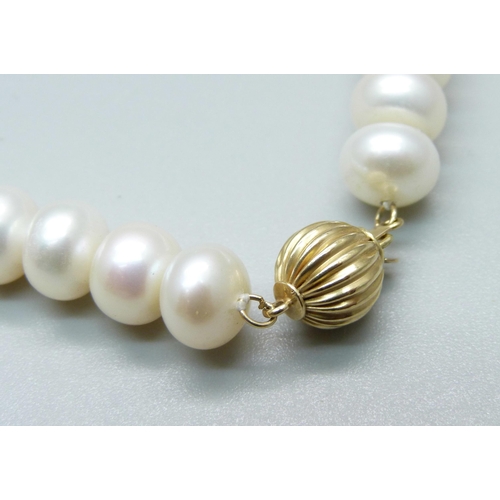 1043 - A string of freshwater pearls on a 14ct gold clasp