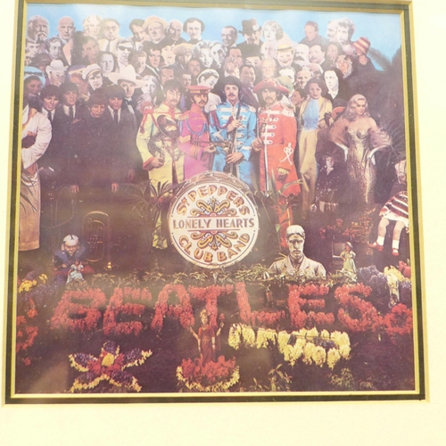 614 - The Beatles Sgt. Pepper Peter Blake signed display