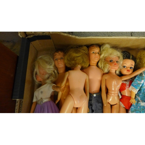 700 - A collection of dolls including Sindy and some accessories