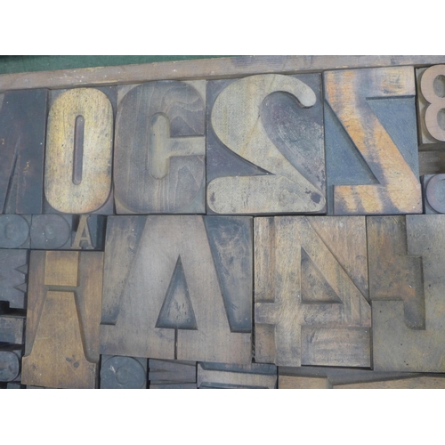 770 - A drawer of wooden printer's blocks