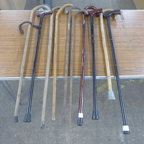 2264 - 10 Walking sticks in an assortment of styles