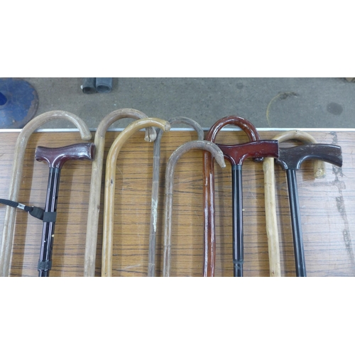 2264 - 10 Walking sticks in an assortment of styles