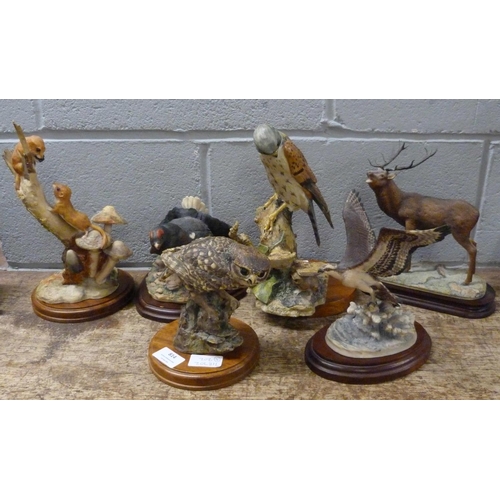 814 - Six Border Fine Arts sculptures; Black Grouse, Little Owl, Dormice, Highland Stag, Kestrel and Ospre... 