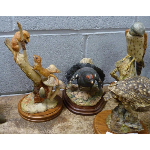 814 - Six Border Fine Arts sculptures; Black Grouse, Little Owl, Dormice, Highland Stag, Kestrel and Ospre... 