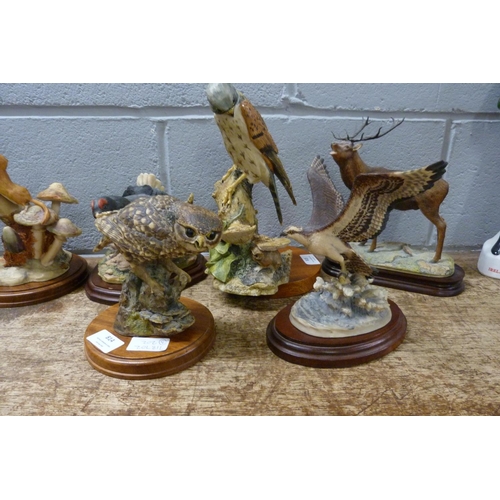 814 - Six Border Fine Arts sculptures; Black Grouse, Little Owl, Dormice, Highland Stag, Kestrel and Ospre... 