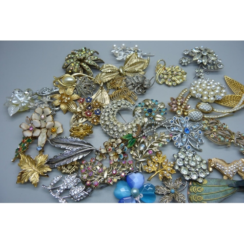 894 - A collection of brooches