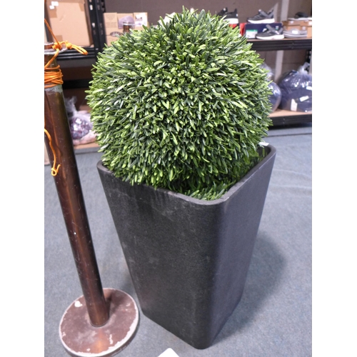 3054 - Rosemary Topiary Ball Tree, original RRP £119.99 + VAT (303-337) * This lot is subject to VAT