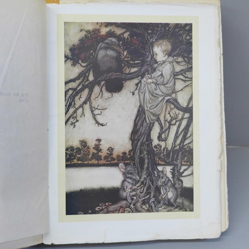 618 - Peter Pan in Kensington Gardens by J.M. Barrie, Illustrated by Arthur Rackham, with coloured plates