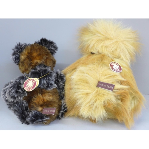 750 - Two Charlie bears - Harris and Gold Dust