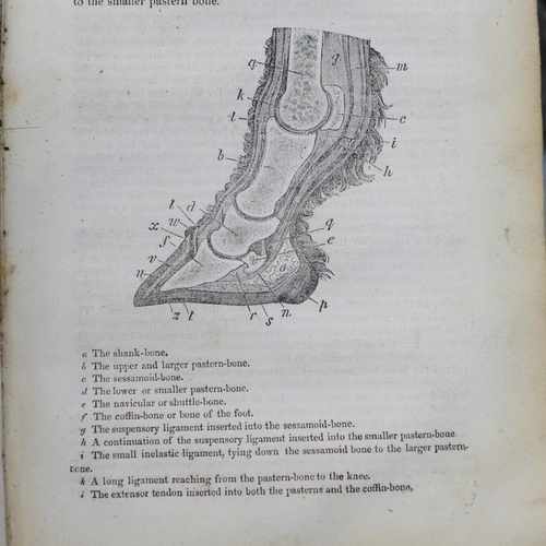 751 - Two leather and wood stirrups and one volume, The Horse, published by Baldwin & Cradock, Paternoster... 