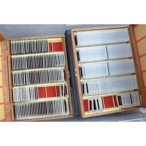 795 - A collection of colour slides and a slide projector, five albums and two wooden boxes, UK and Europe... 