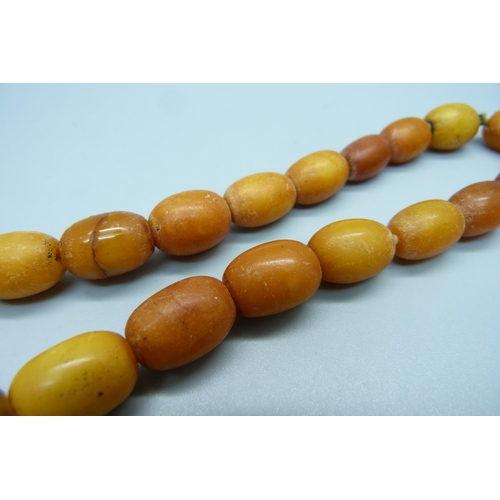 955 - A butterscotch amber bead necklace, a/f, 39g, 37cm