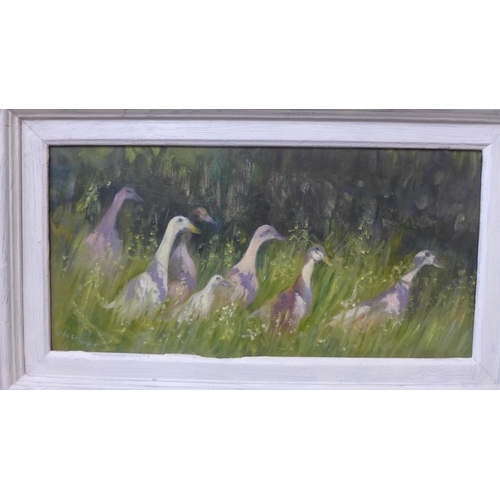 339 - Iris Collett, study of geese, oil on board, framed