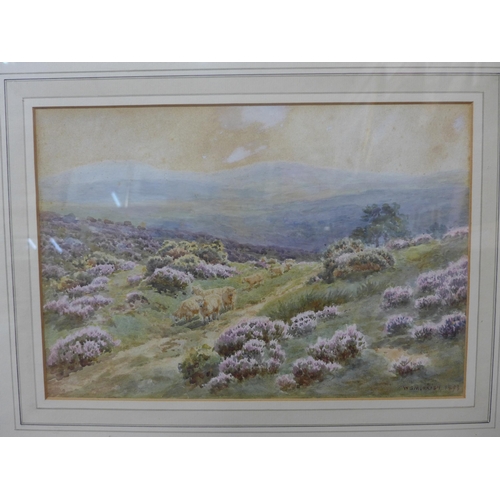 346 - William Stanley Morrish, moorland landscape with sheep, watercolour, dated 1893, framed