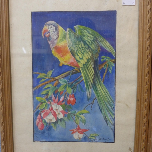 348 - Italian School (late 19th/early 20th Century), pair of studies of parrots, watercolour, indistinctly... 