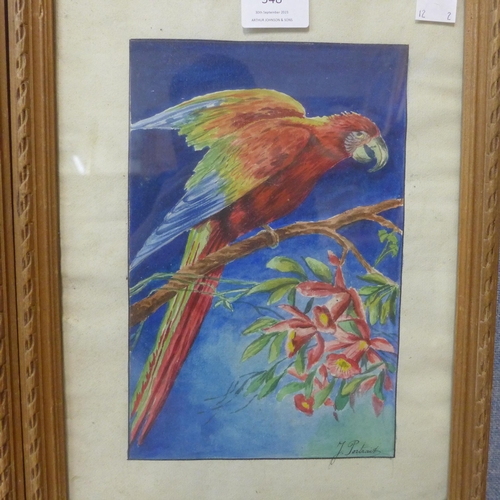 348 - Italian School (late 19th/early 20th Century), pair of studies of parrots, watercolour, indistinctly... 