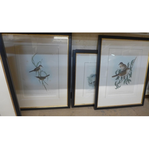 359 - A set of nine Australian Wildlife prints, ornithological and mammals, framed