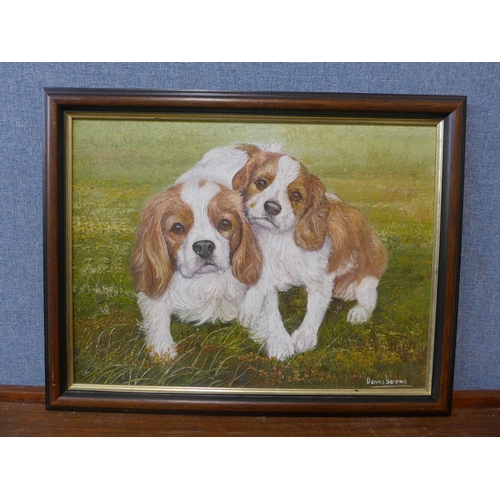 364 - Dennis Barron, study of two spaniels, oil on board, framed