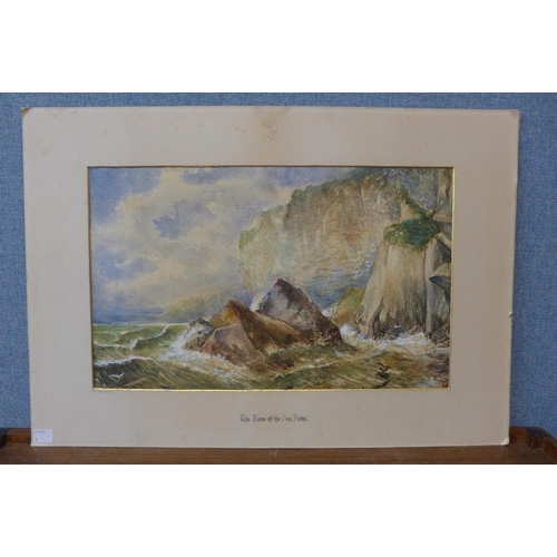 368 - English School (19th Century), The Home of The Sea Birds, watercolour, dated 1819, unframed